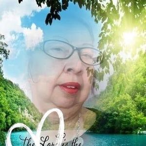 Meet your Posher, Terry m